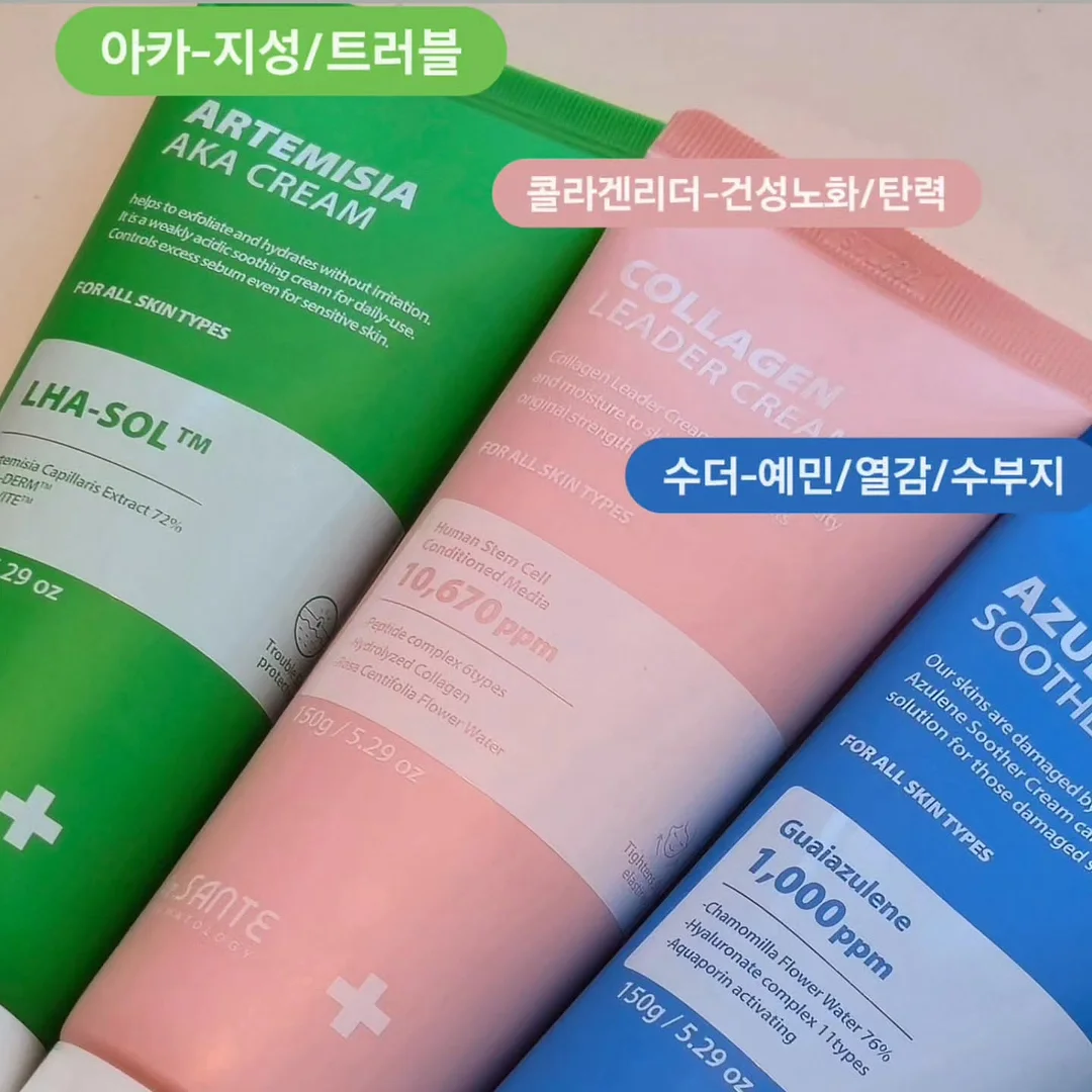 쇼펜하우어 인생수업 3