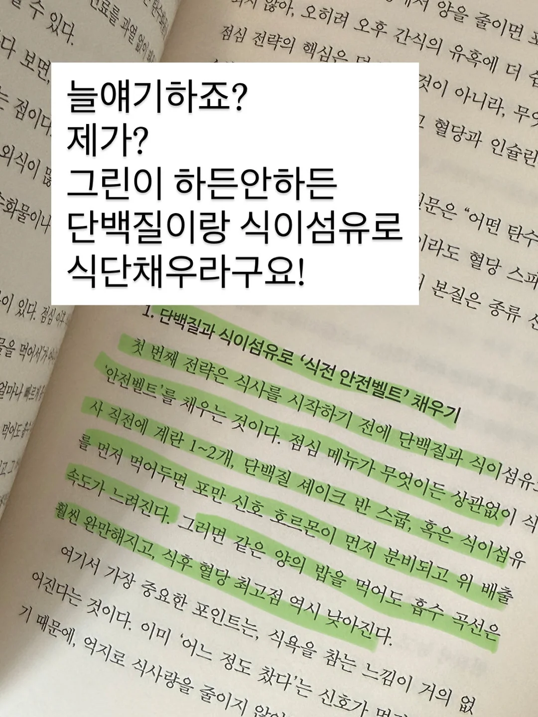 용돈토퍼 5