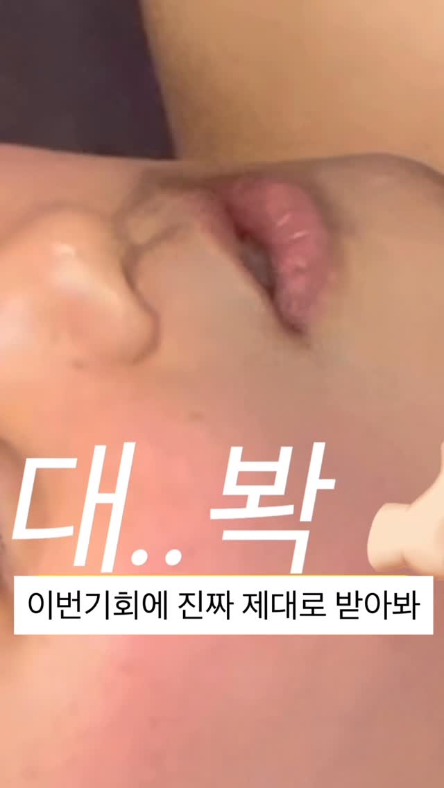 다우니 5성급 호텔 컬렉션 미스티크