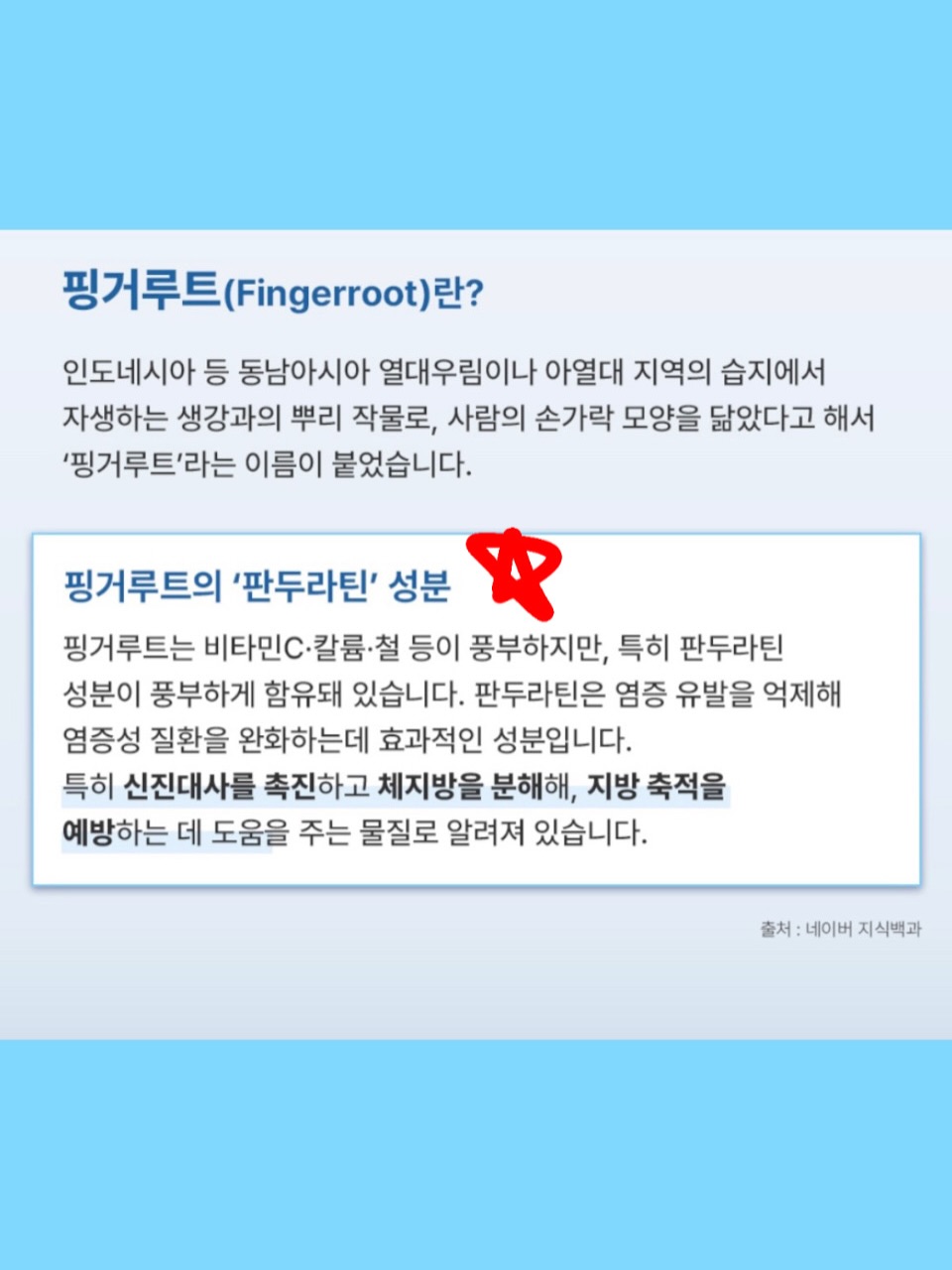 클래식 여권지갑 블랙 캐비어 금장 8