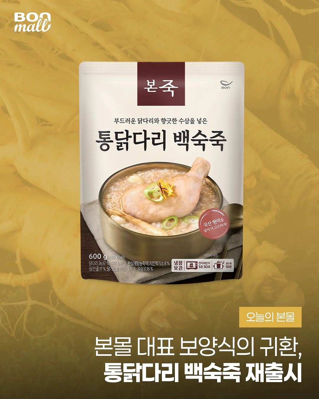 보스턴메쉬티