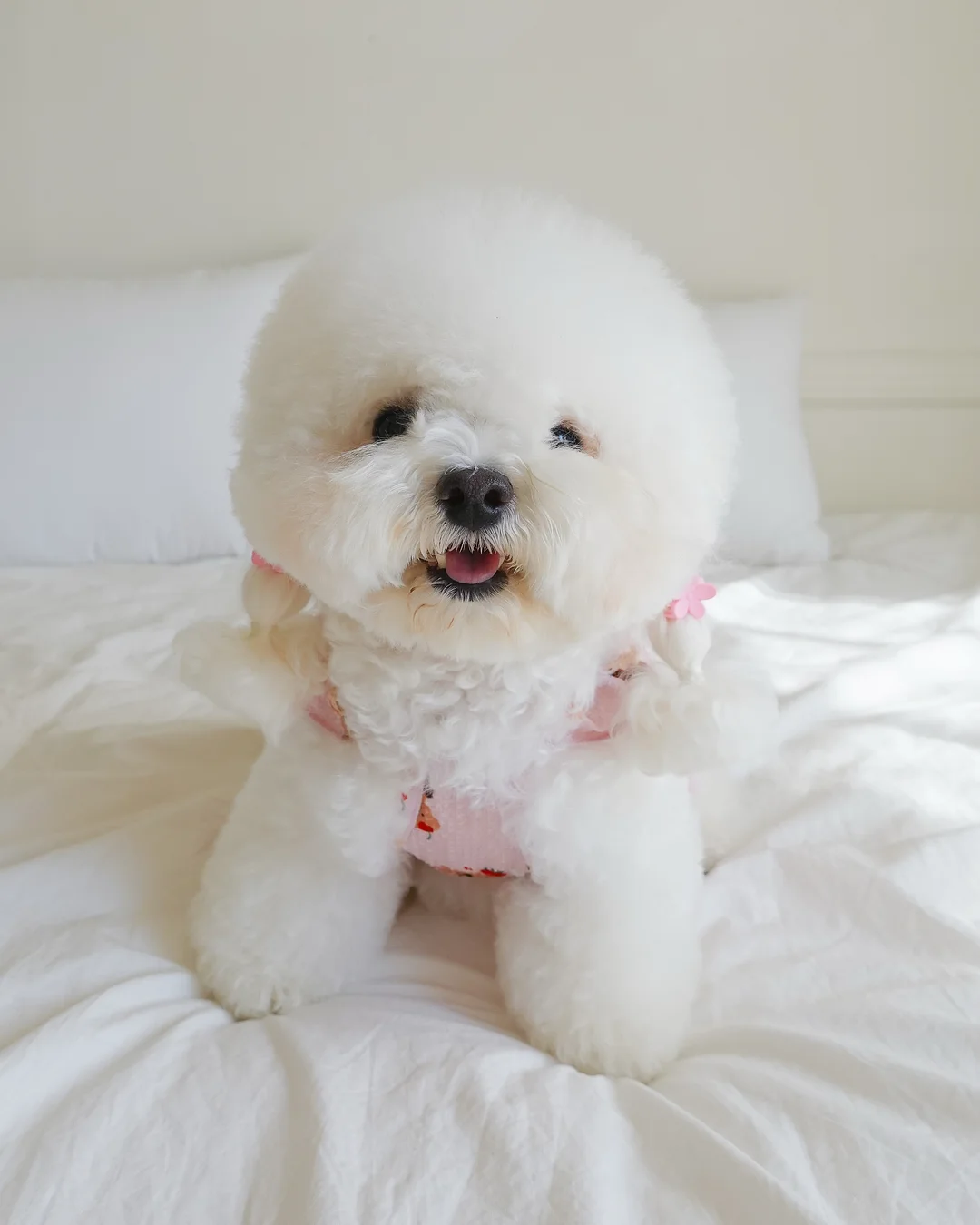 폴햄키즈 에어리쿨 루즈핏 티셔츠 5