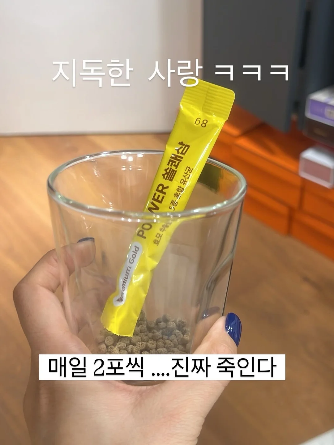 뭉치 사회토론왕 5