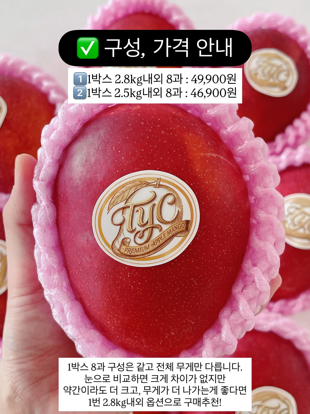 유니 스탠드 스탠다드 랜턴 걸이 3