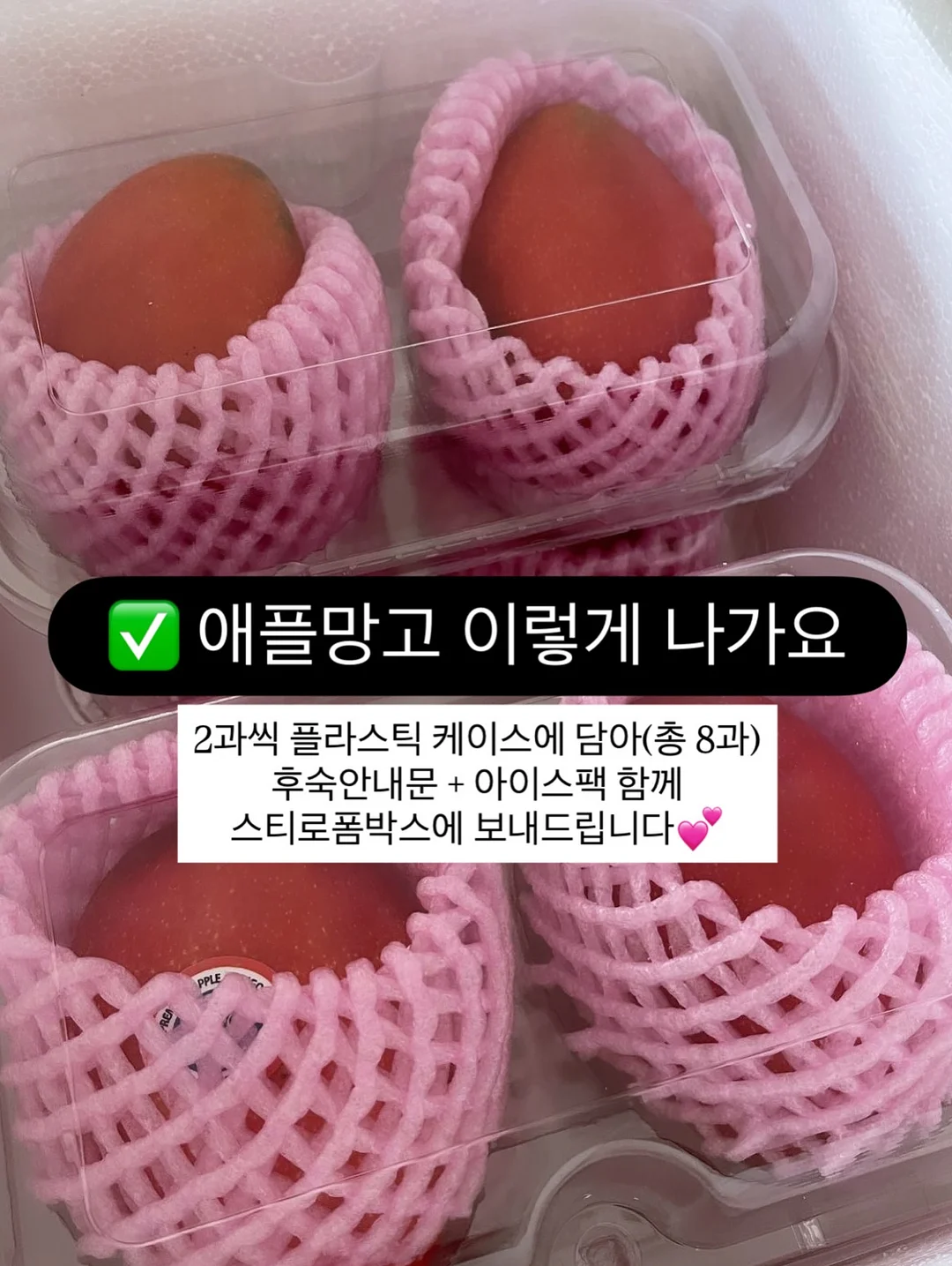 유니 스탠드 스탠다드 랜턴 걸이 6