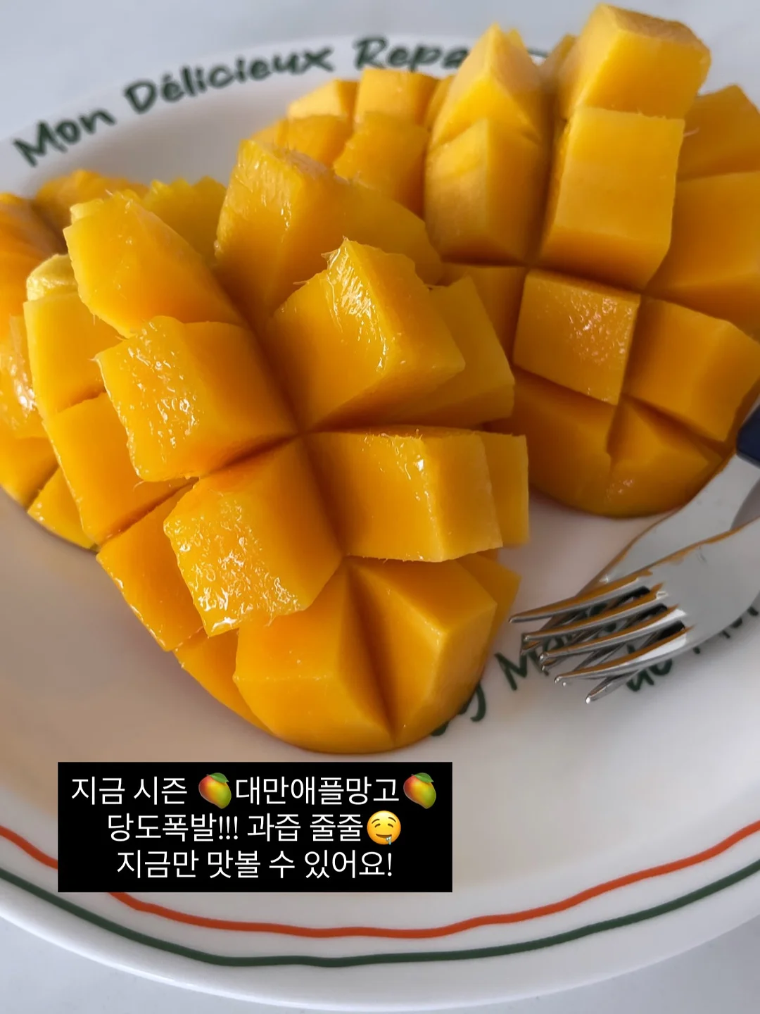 유니 스탠드 스탠다드 랜턴 걸이 7