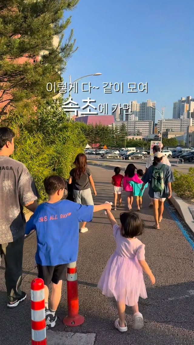 힐링 식물