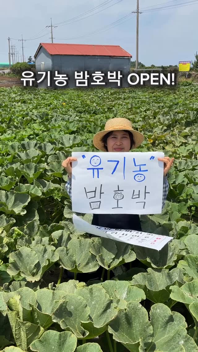 메가커피 수박리치 코코슬러시, 제로레몬 말차아이스티