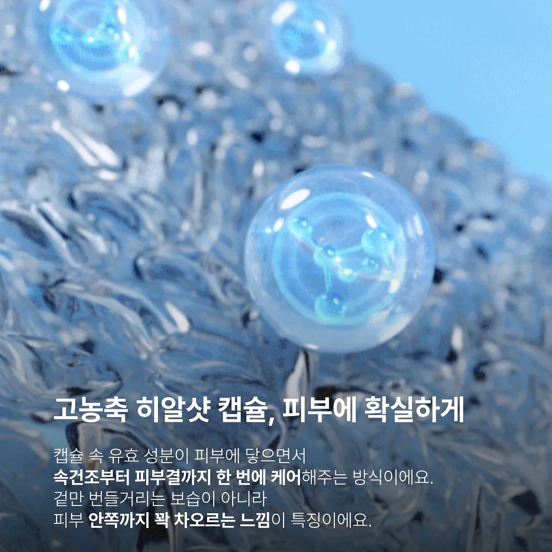 플로랄스튜디오 프리미엄 꽃바구니 5
