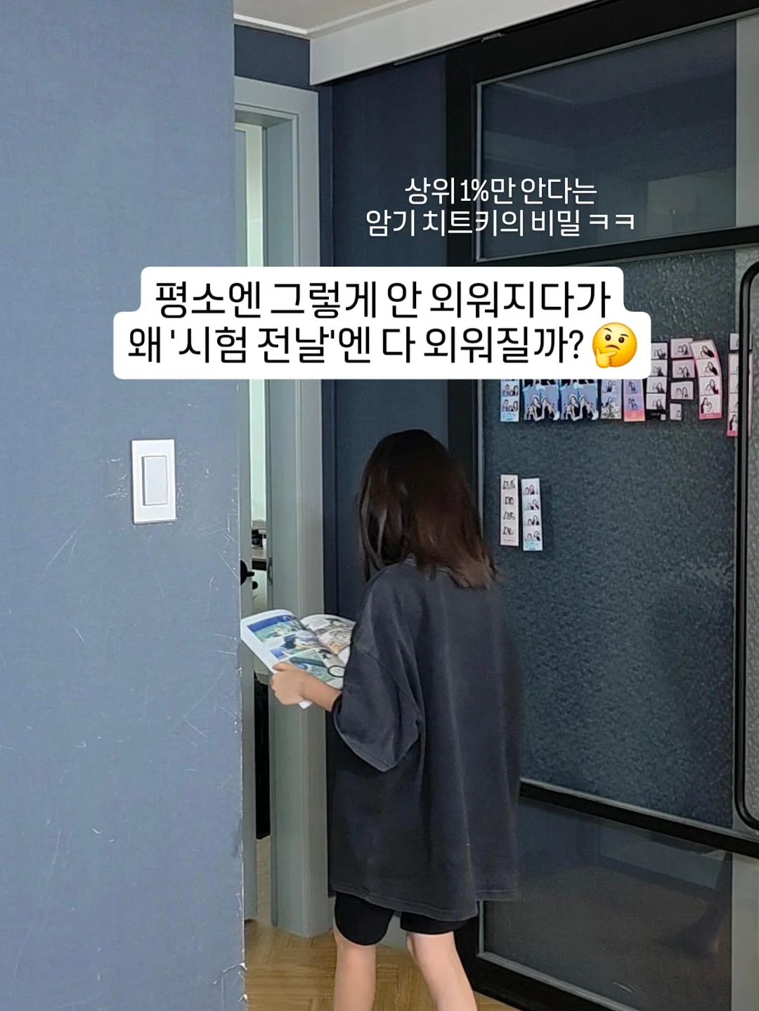 구즈마니아 체리 1
