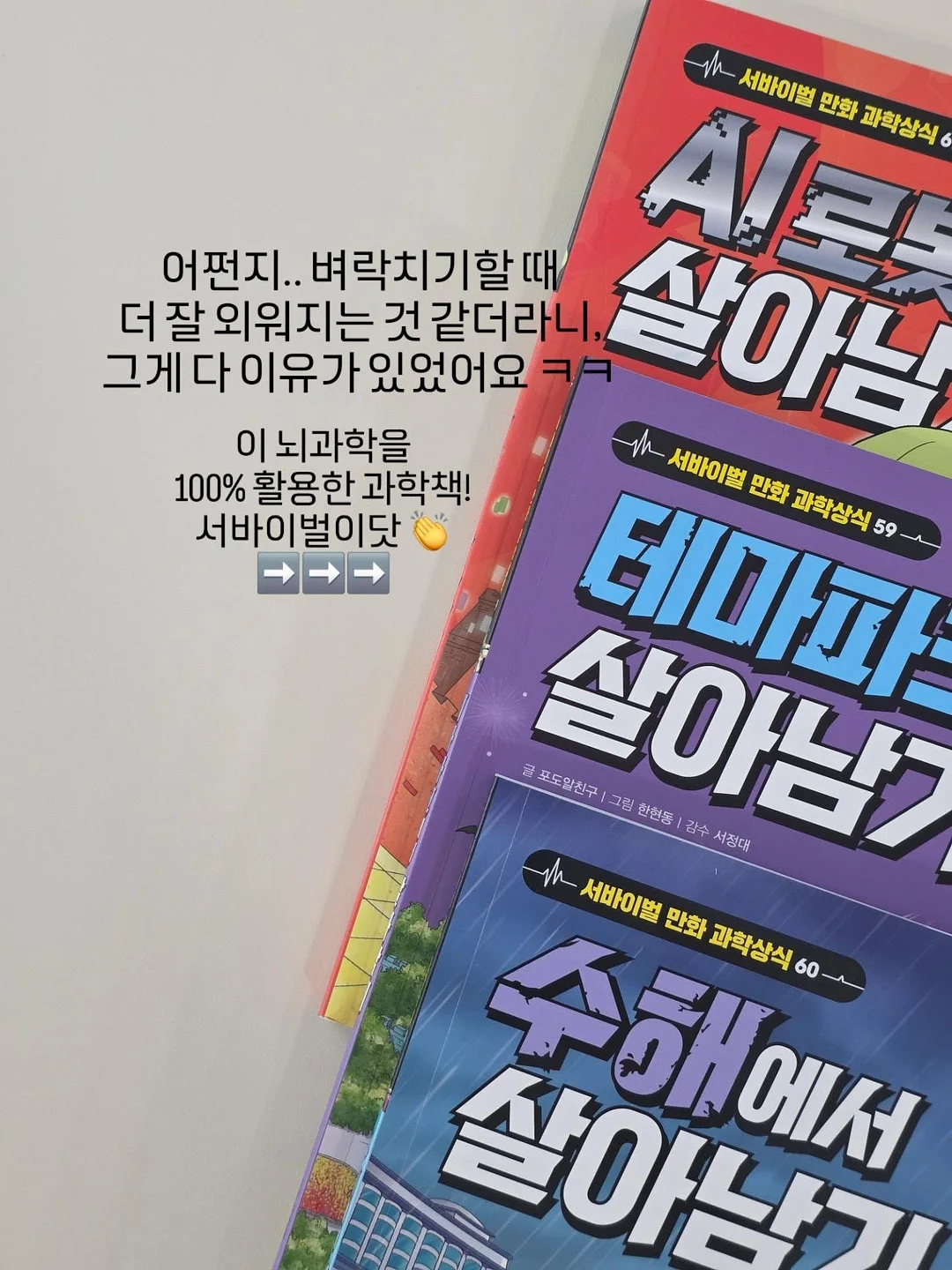 구즈마니아 체리 4