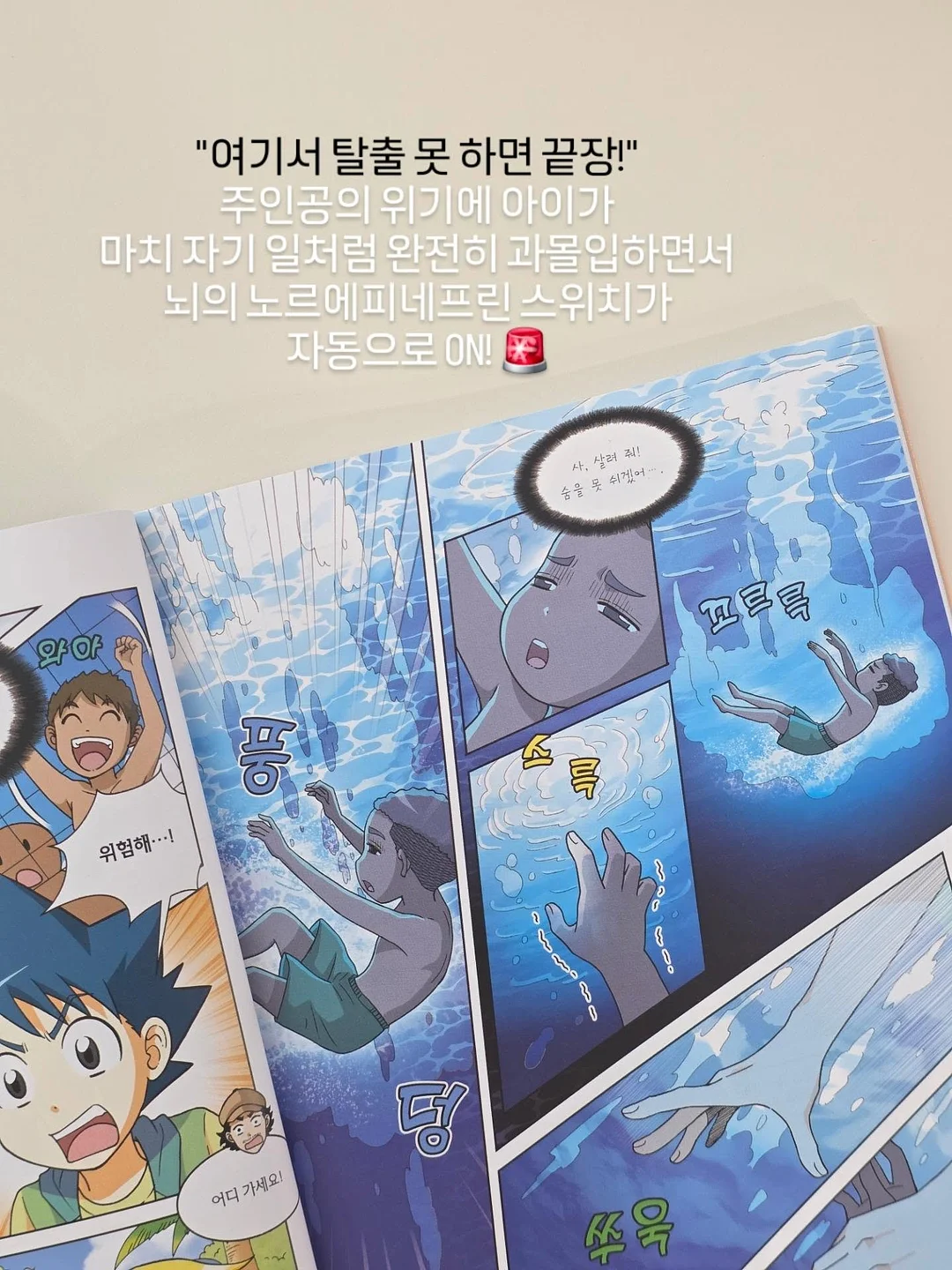 구즈마니아 체리 6