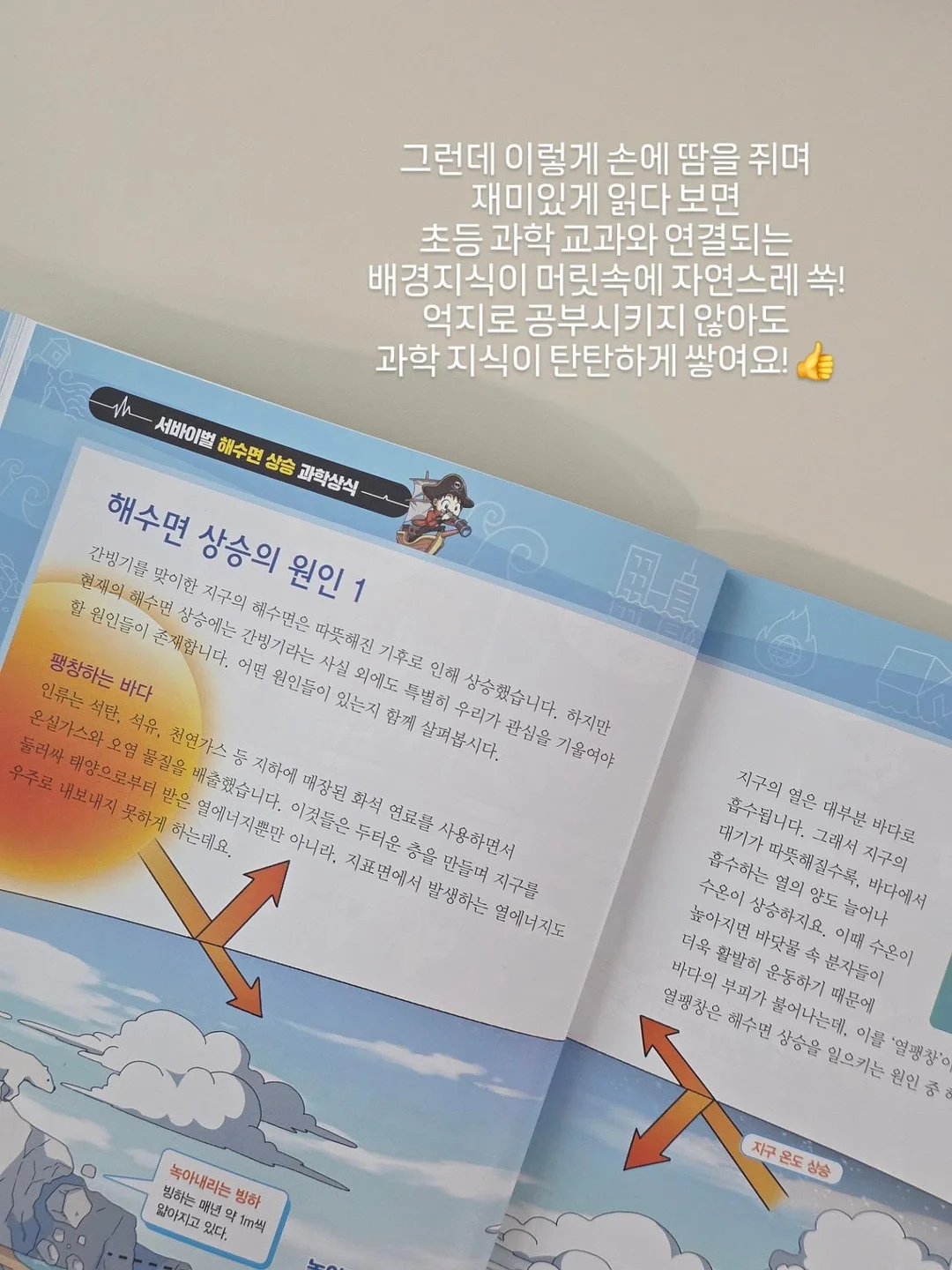 구즈마니아 체리 8