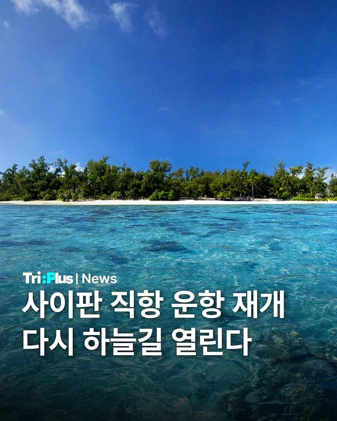 호제트 여름 신상 1