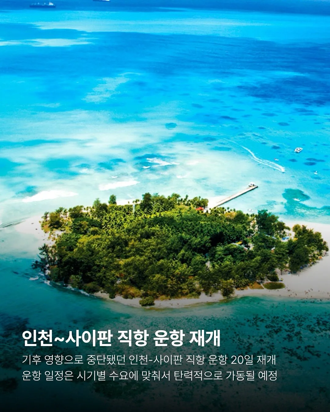 호제트 여름 신상 2