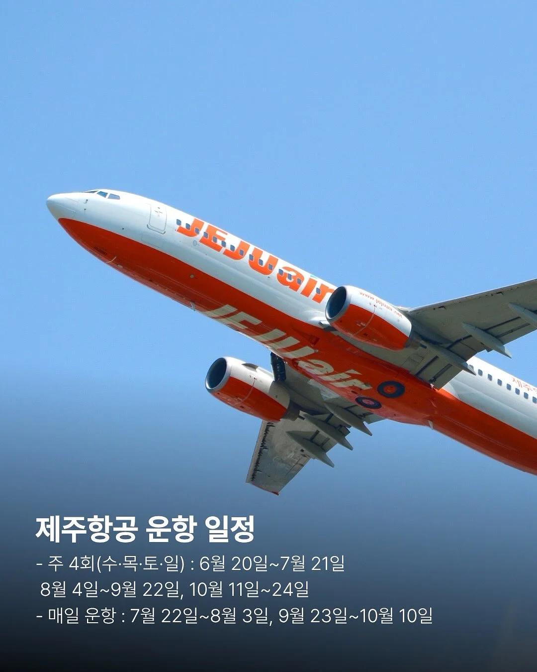호제트 여름 신상 3