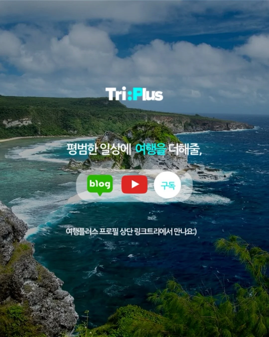 호제트 여름 신상 4