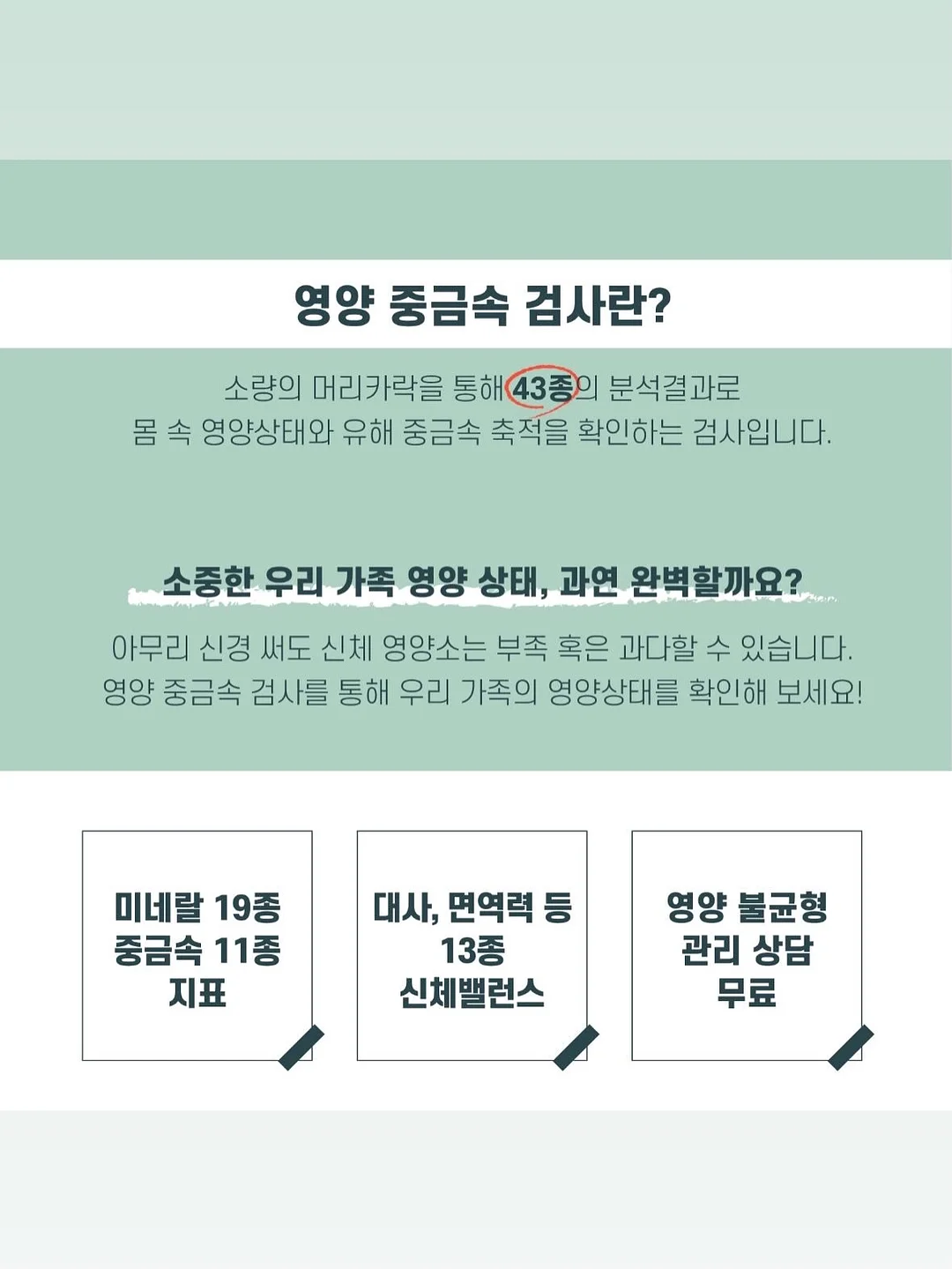 ADsP 단기 합격 가이드 12