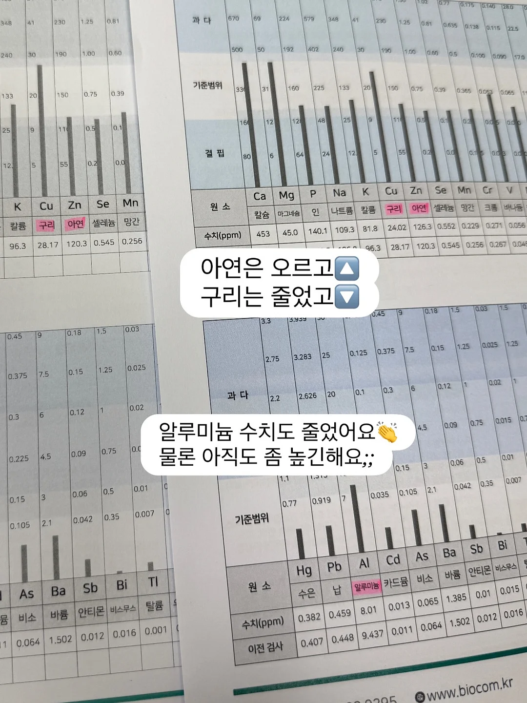ADsP 단기 합격 가이드 7