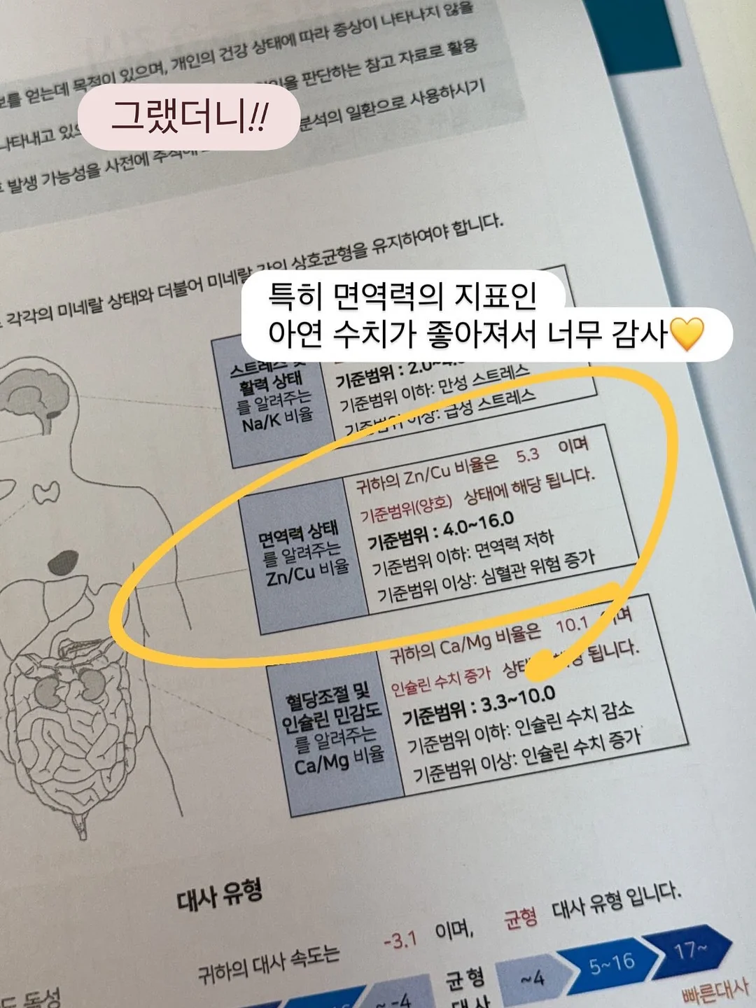 ADsP 단기 합격 가이드 8