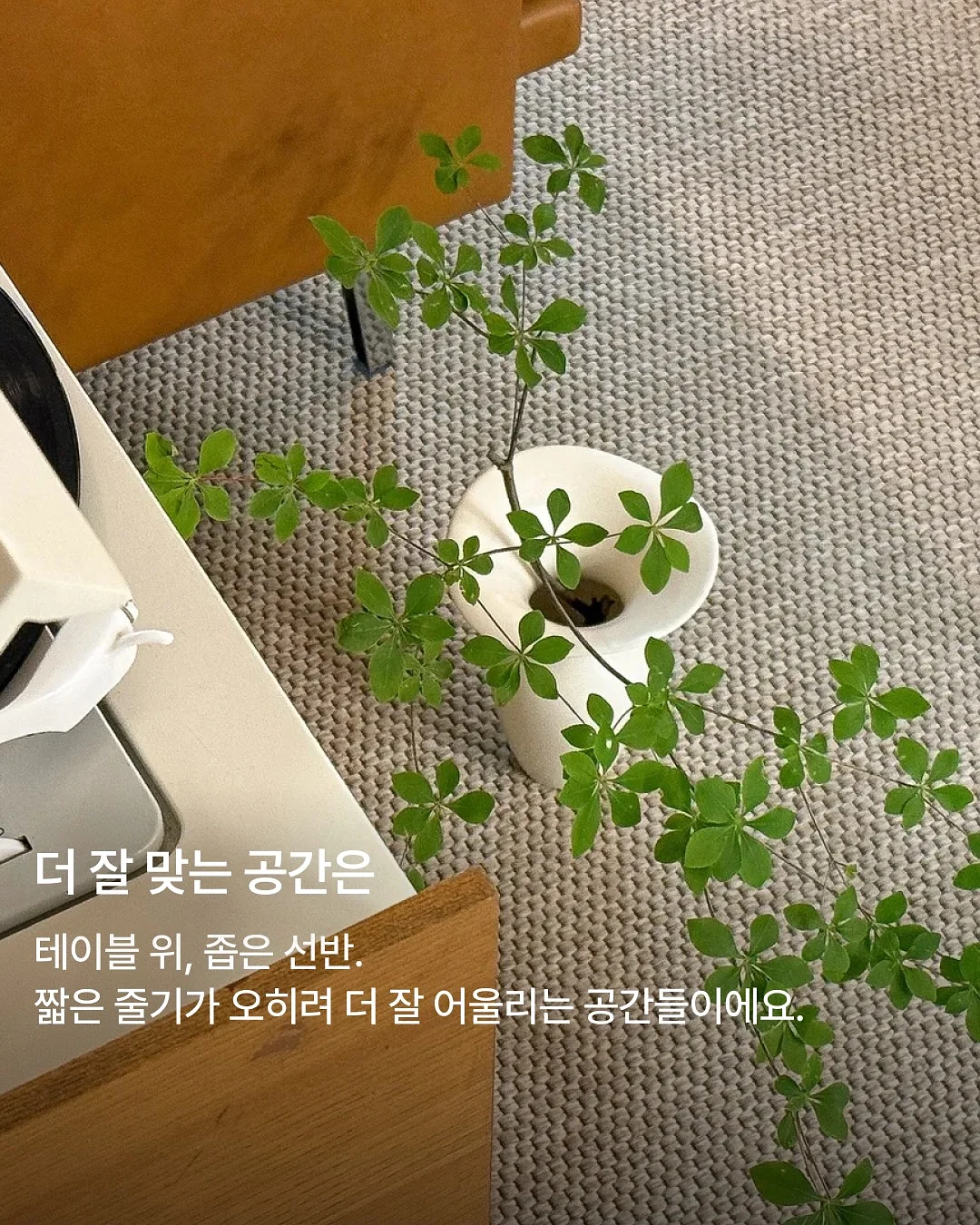 밀크티비니 4
