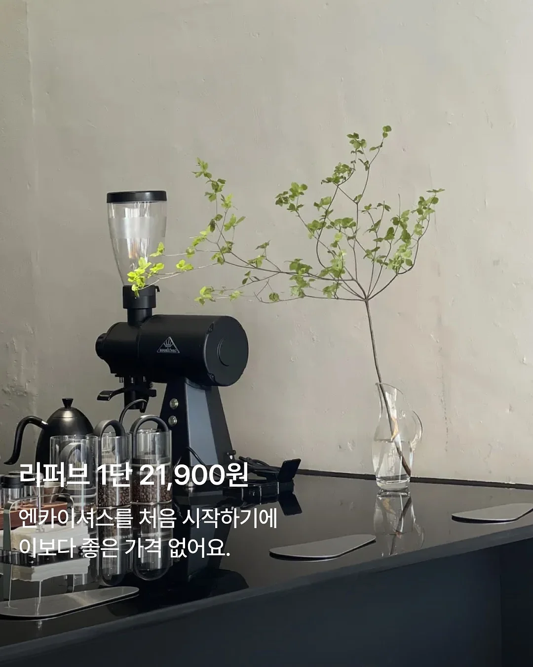 밀크티비니 5