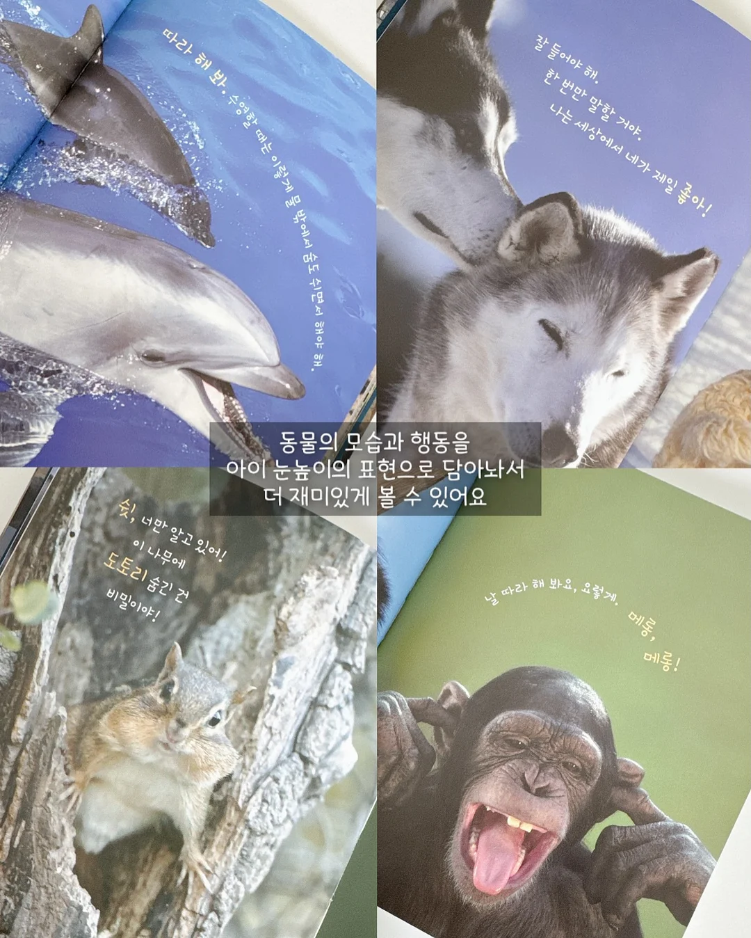 추풍령 테마파크 4