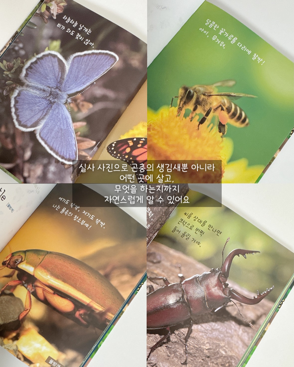 바로배송 여유수량 5
