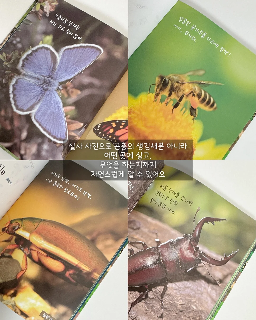 추풍령 테마파크 5
