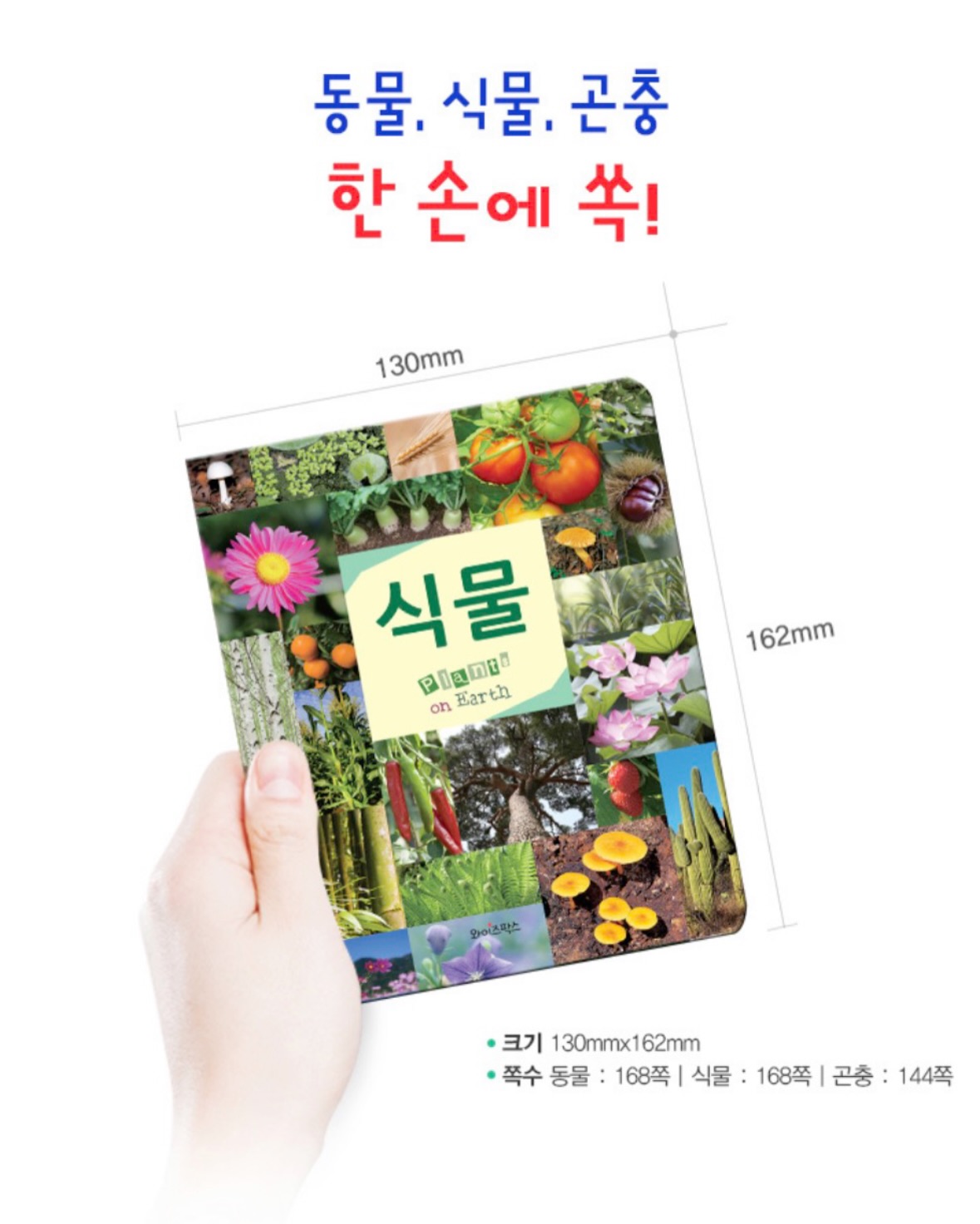 바로배송 여유수량 7