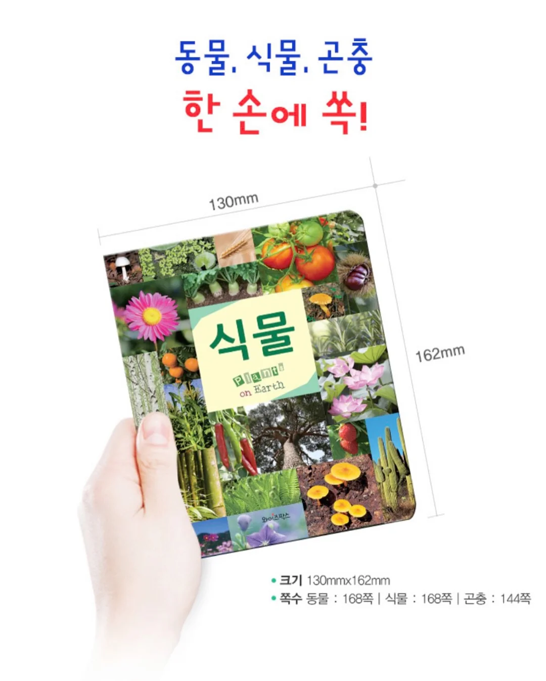 추풍령 테마파크 7