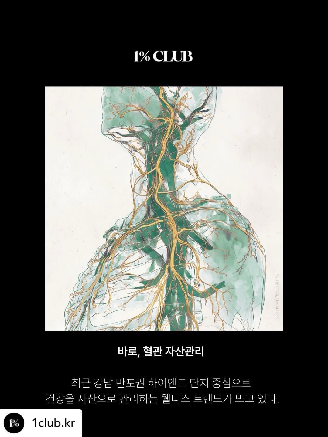 부기부기 & 번앤번 6