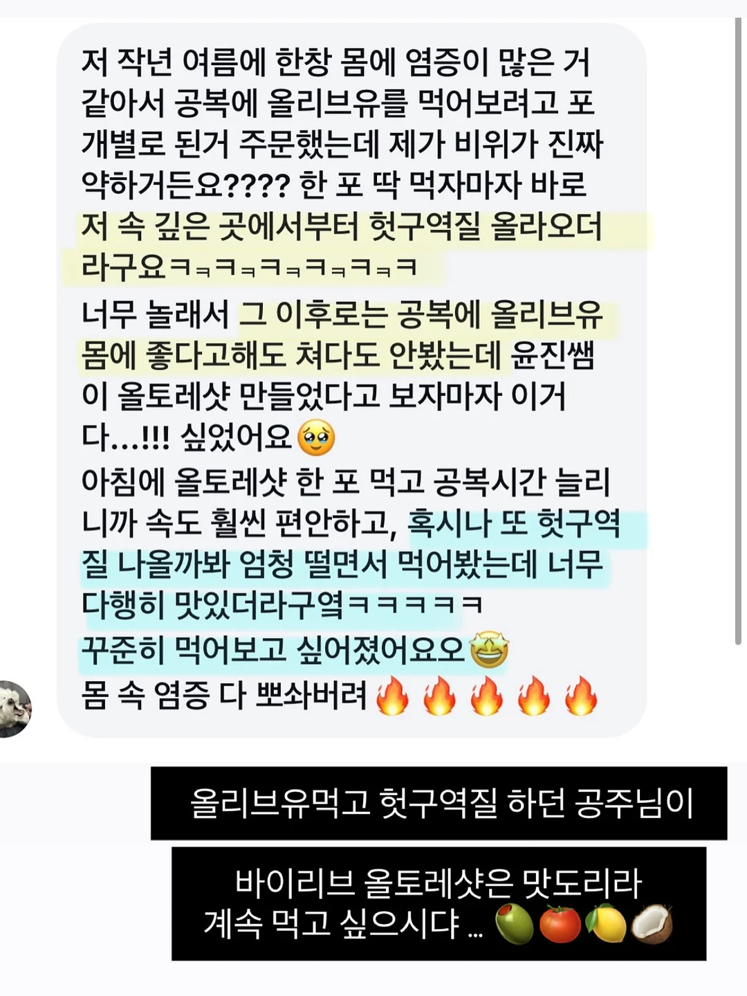 더아이잗 여름 출근룩 코디 19