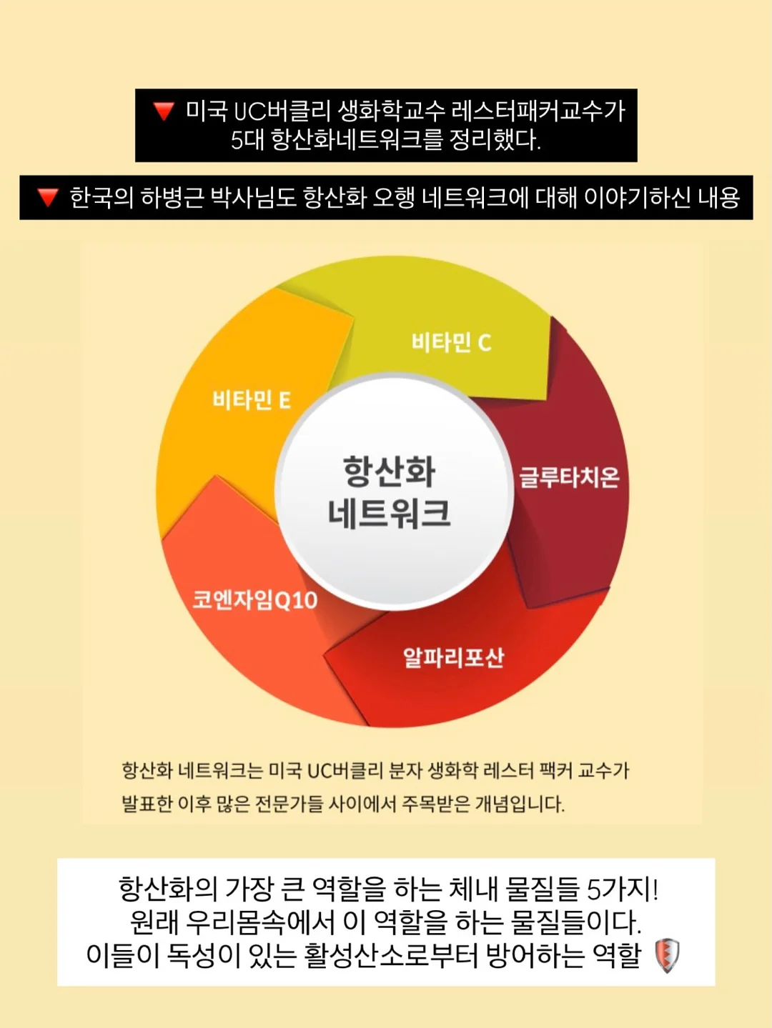 더아이잗 여름 출근룩 코디 5