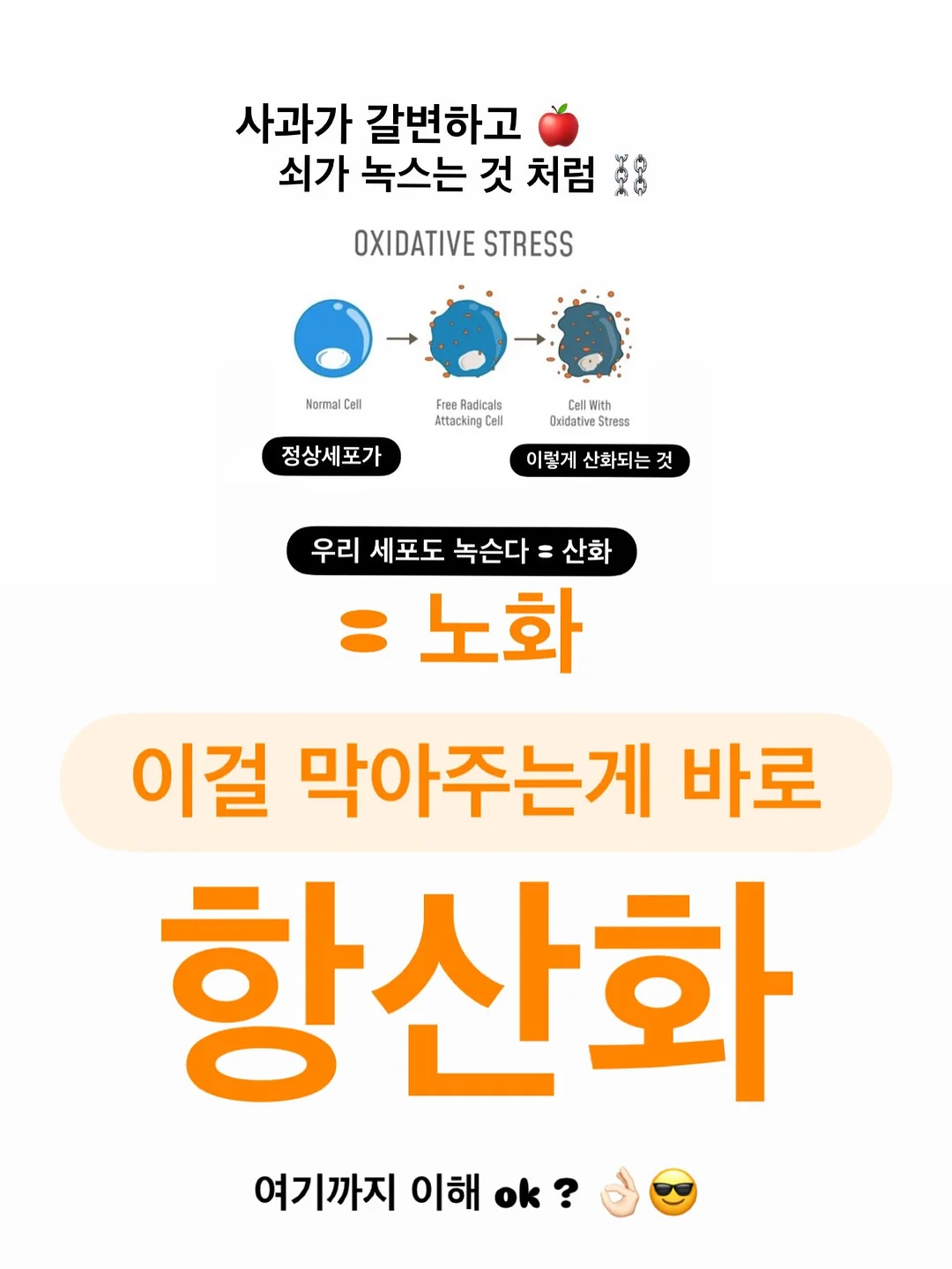 더아이잗 여름 출근룩 코디 6