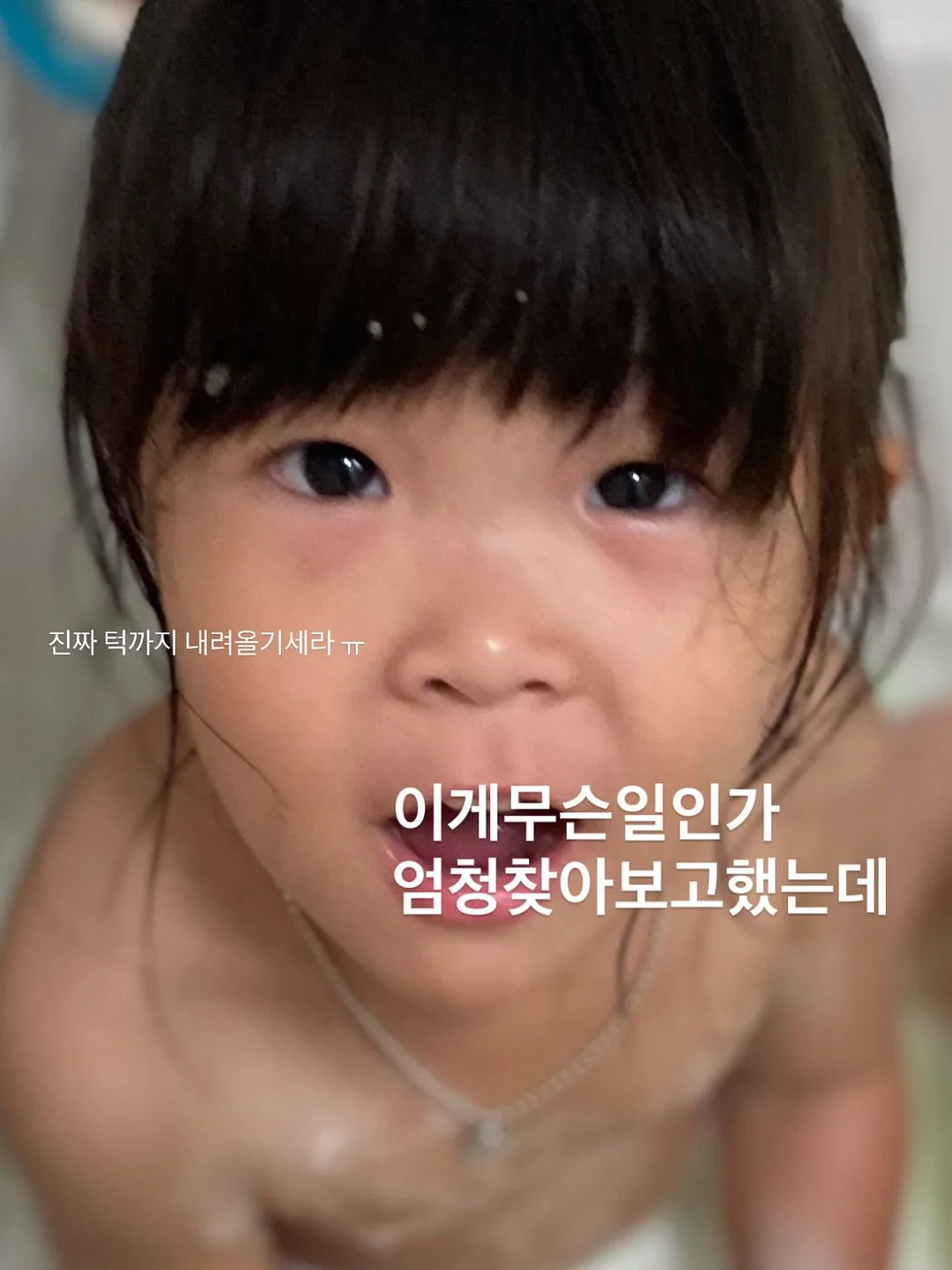 밀숲과자점 수요일 라인업 2