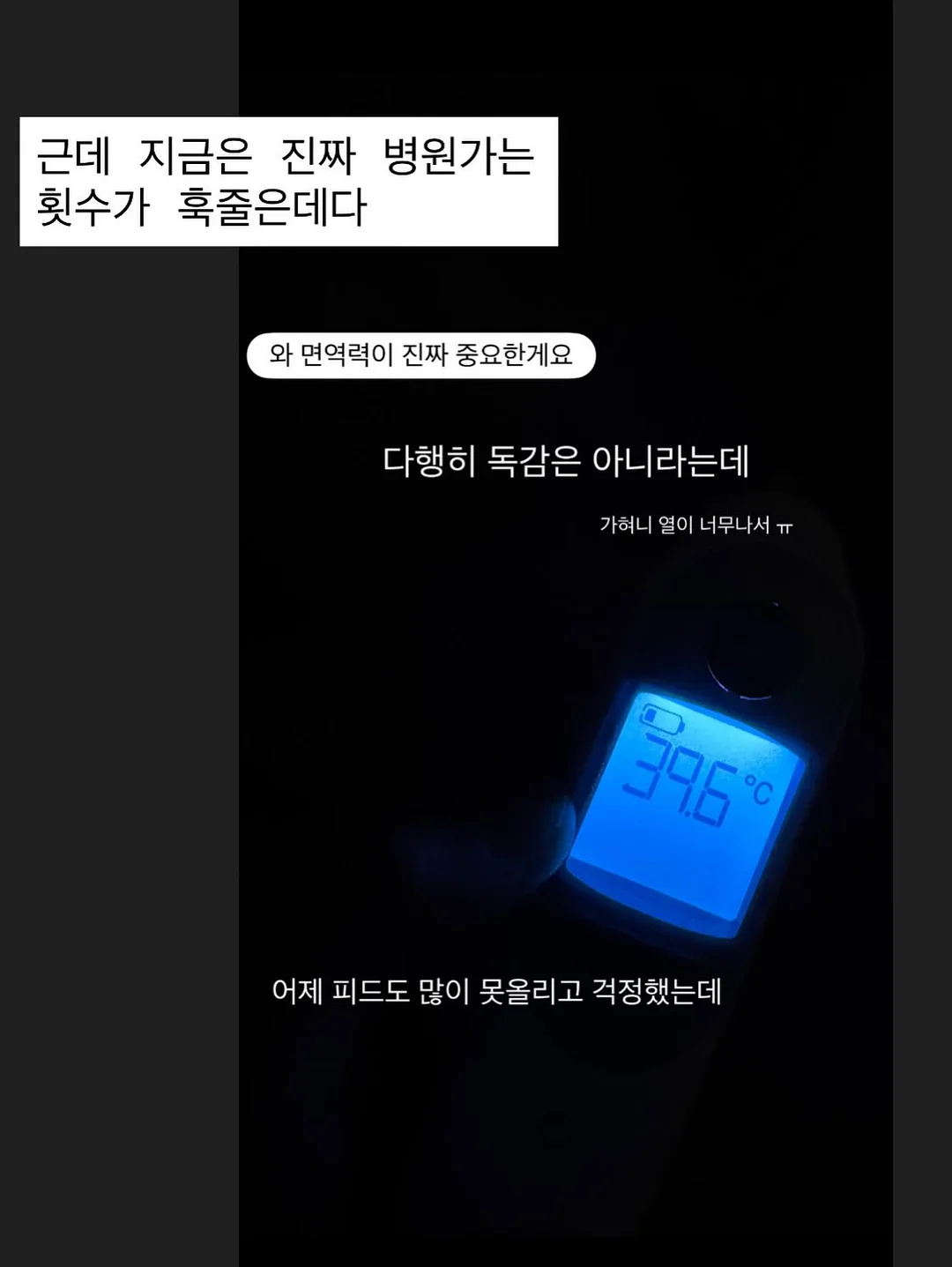 밀숲과자점 수요일 라인업 6