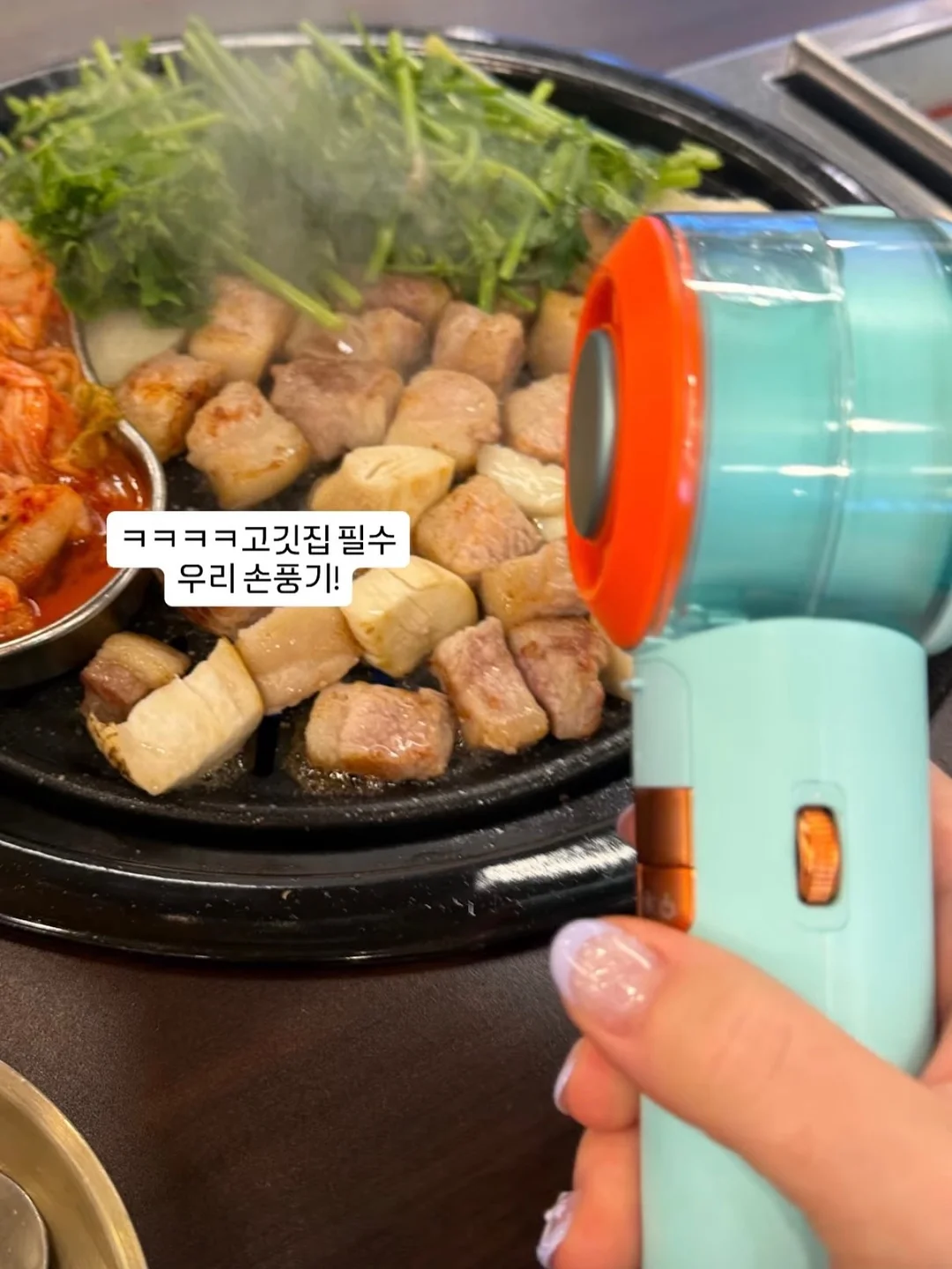 피그로니 플레이백 4