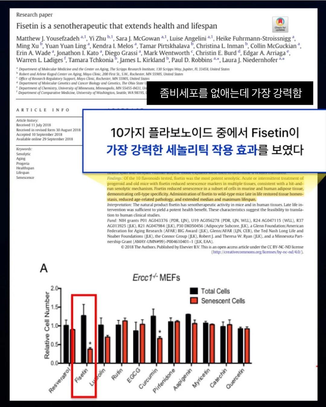봄실내복 랜덤박스 3