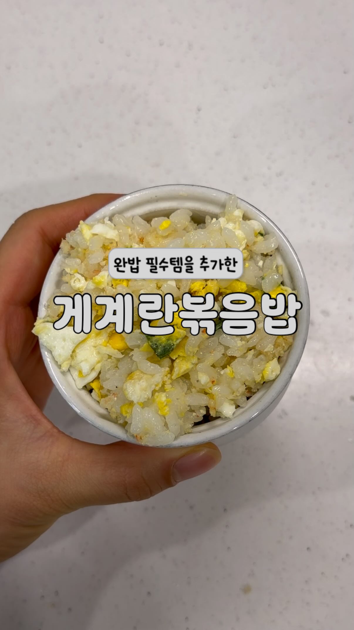 카인다바이트 저당 고메 프로틴 쿠키 2종
