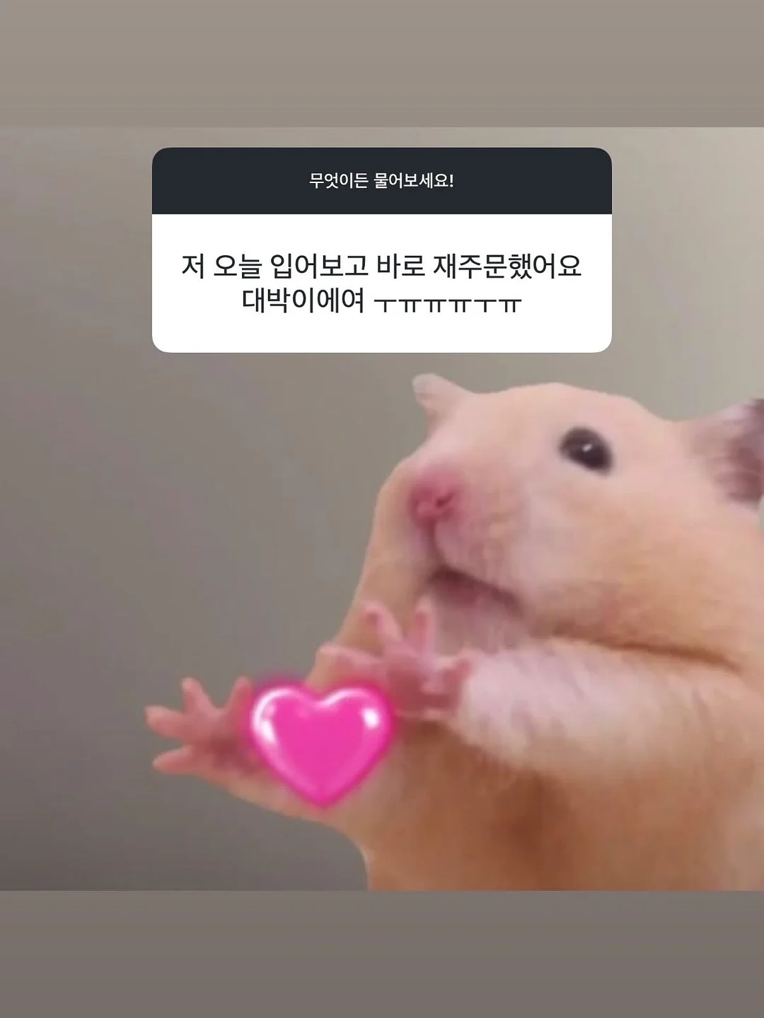 주문제작 월넛색상 거울 2