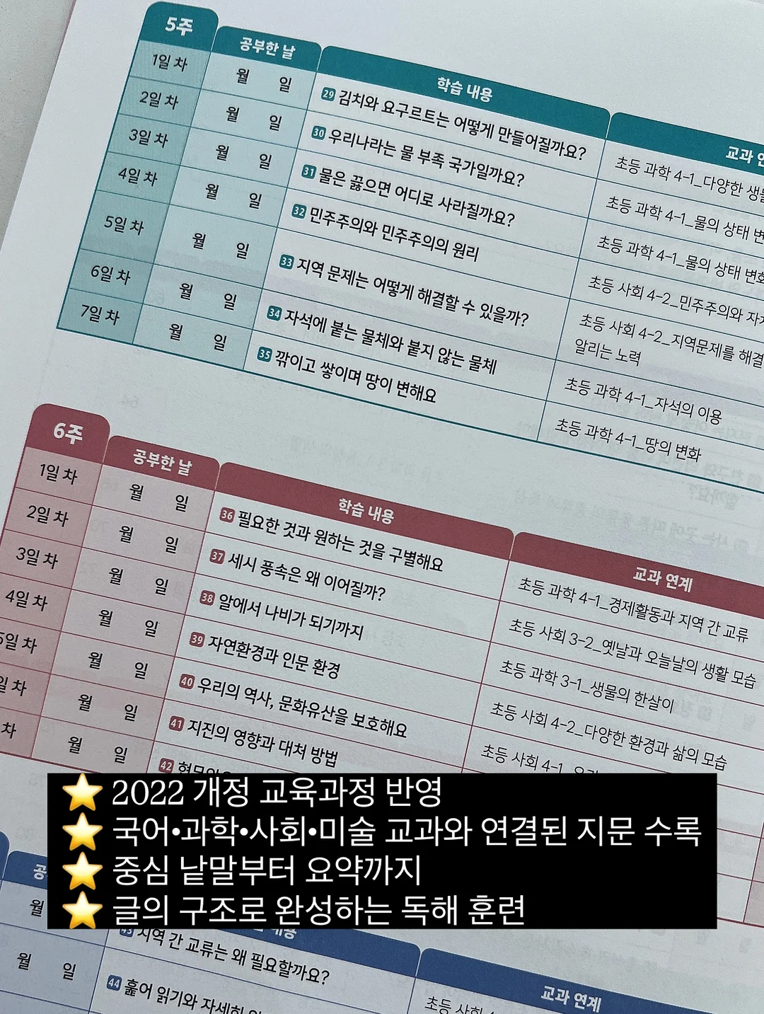 덴티쉬 딜라이트 마우스캔디 2