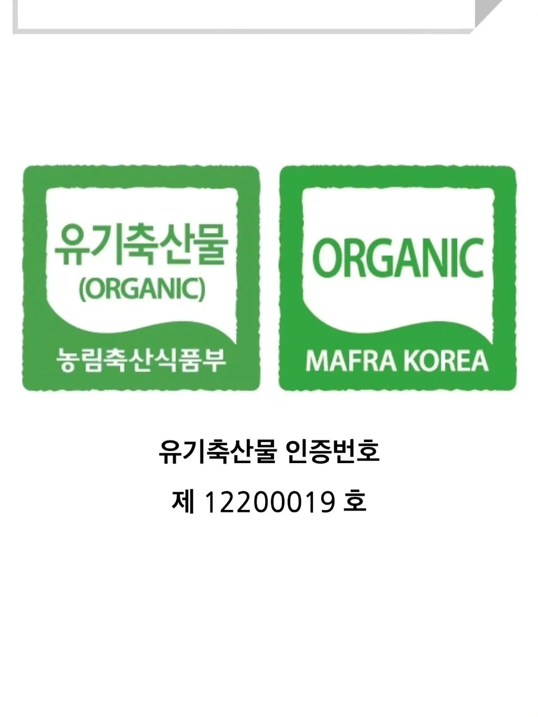Lachel 짐 플로랄 미니 점프수트 4