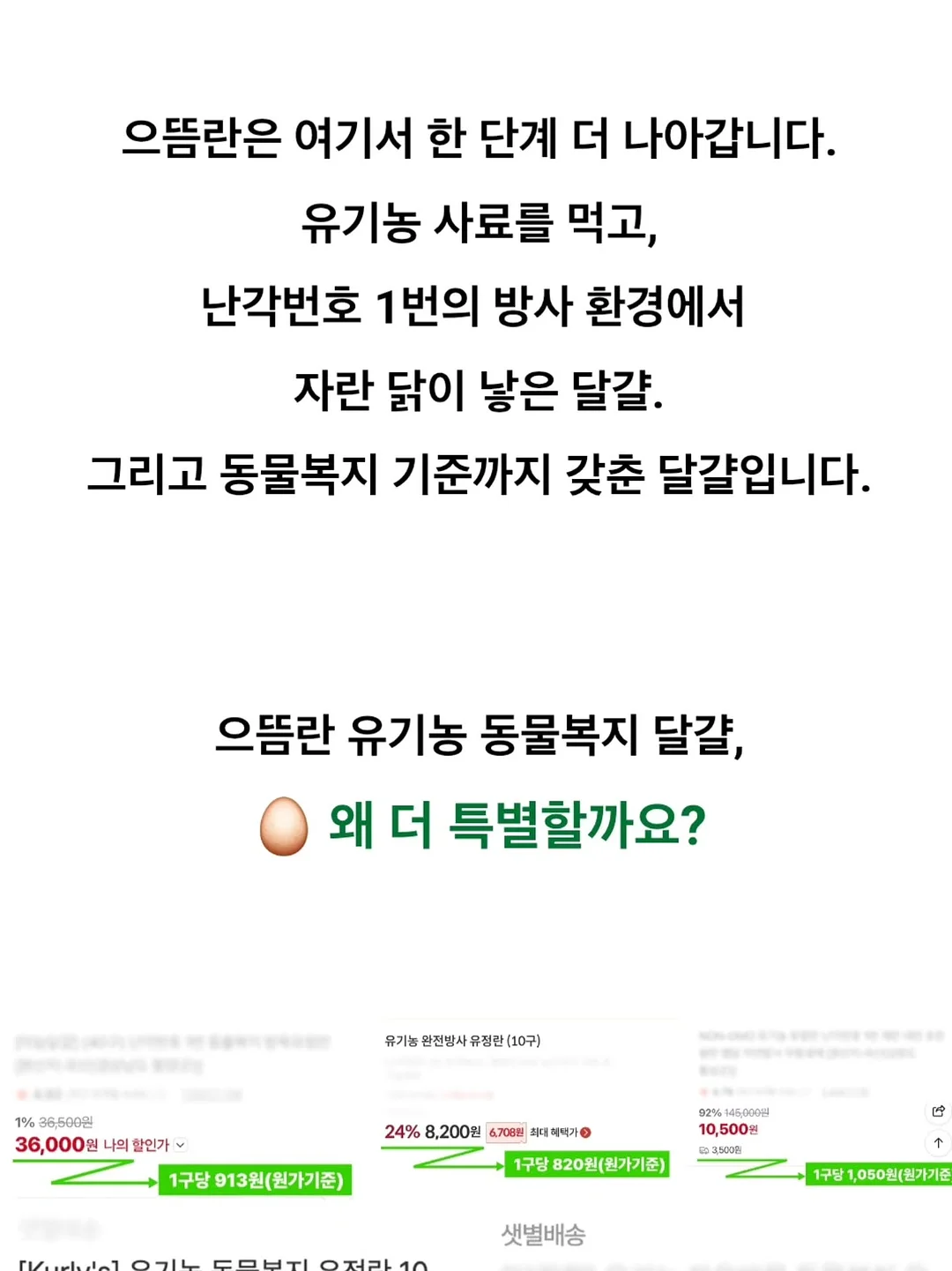 Lachel 짐 플로랄 미니 점프수트 6