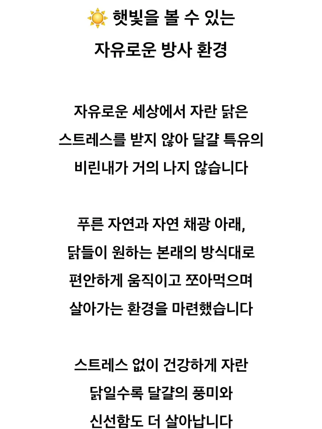 Lachel 짐 플로랄 미니 점프수트 7