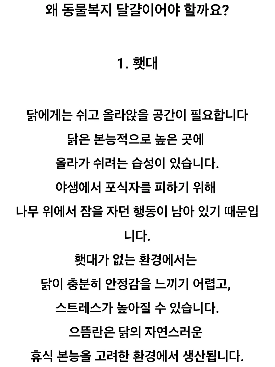 Lachel 짐 플로랄 미니 점프수트 8