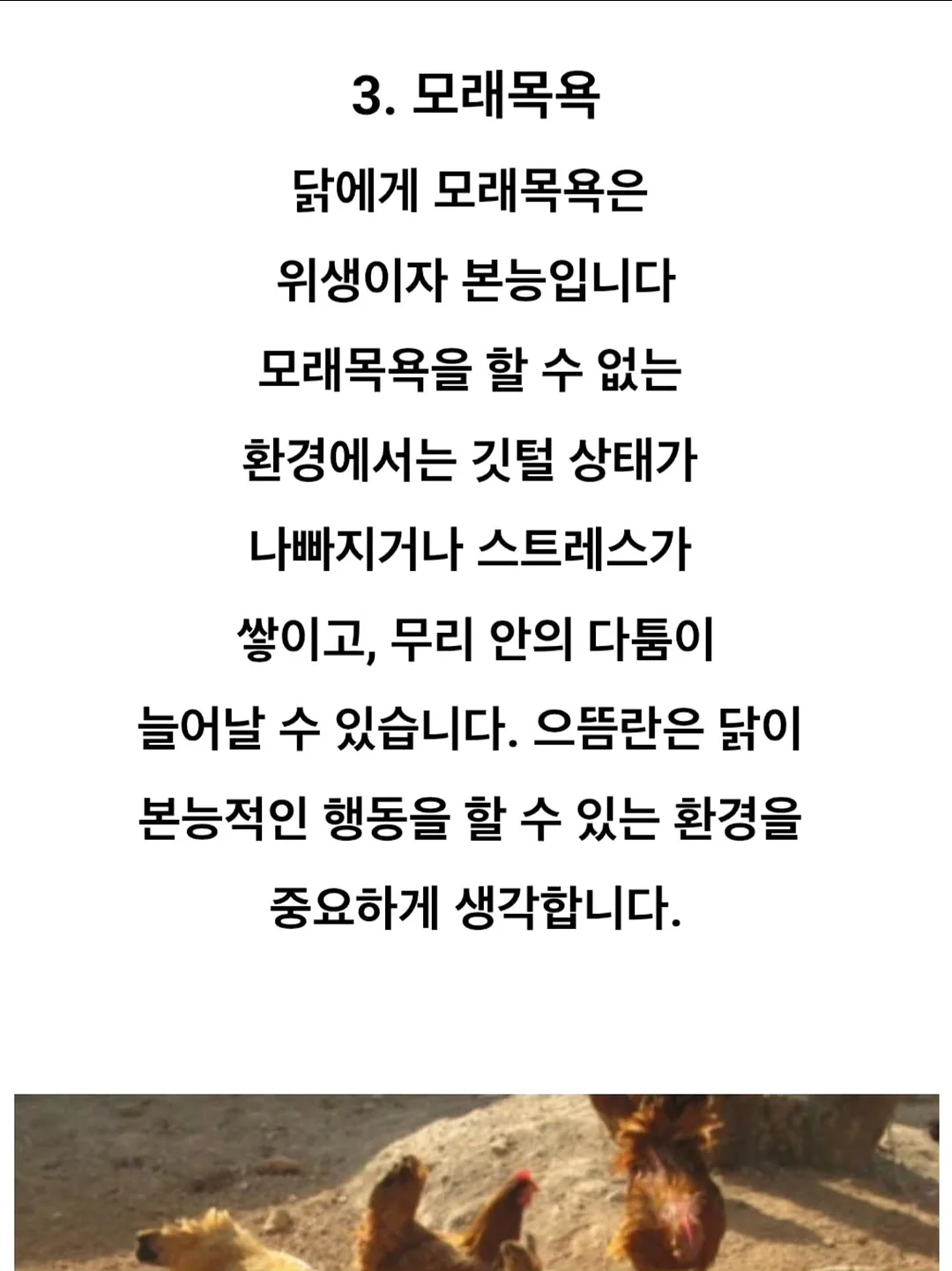 Lachel 짐 플로랄 미니 점프수트 10