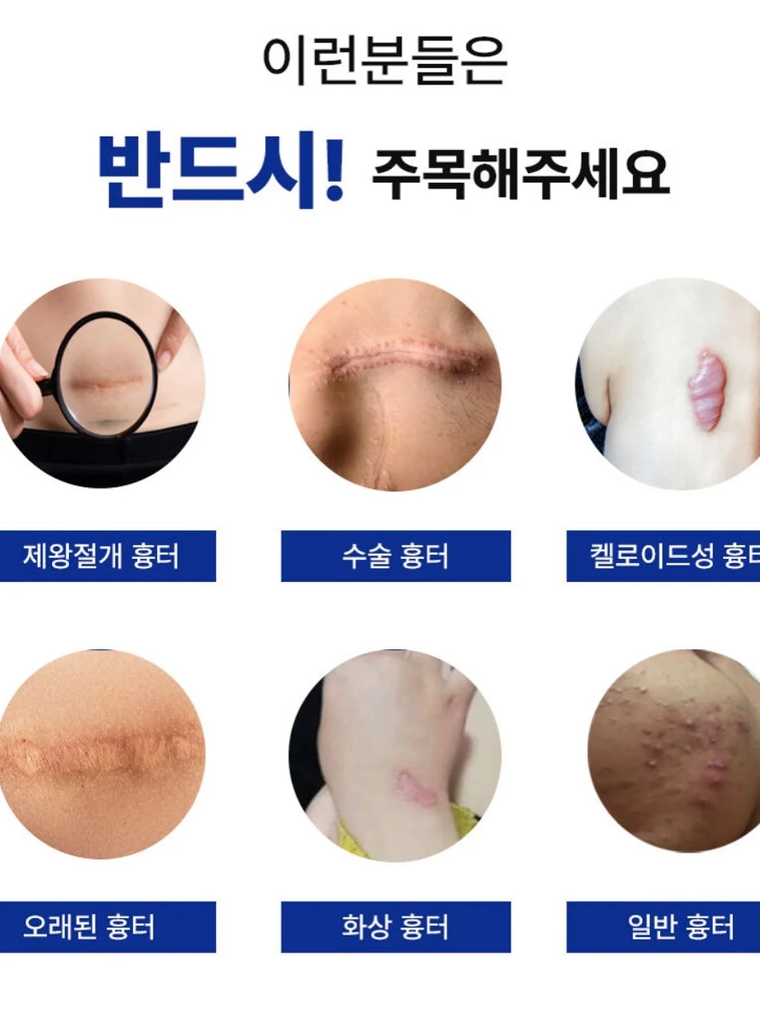차량용 햇빛가리개 6