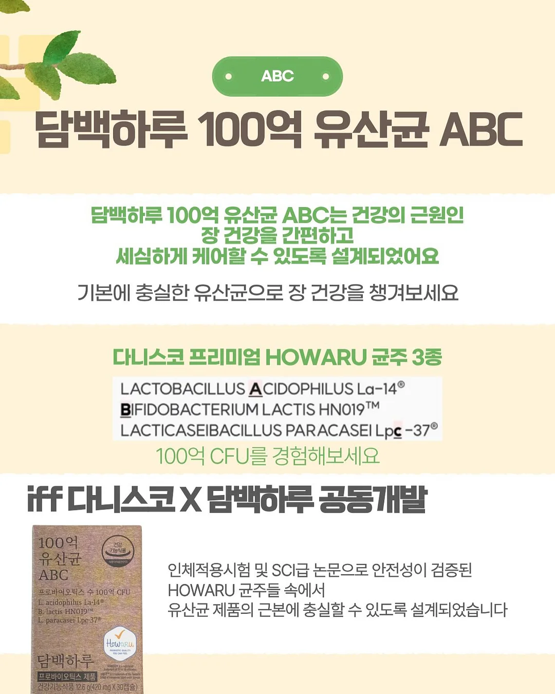 스프링 패밀리 세트 3