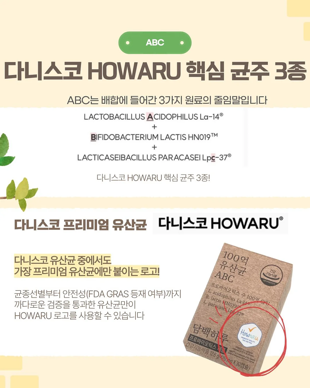 스프링 패밀리 세트 4